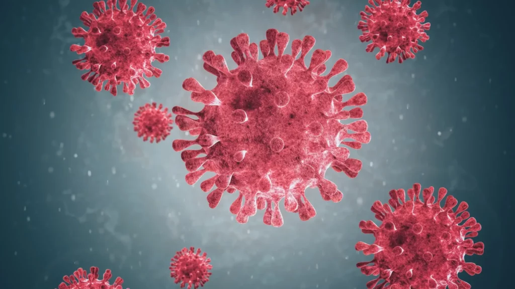 Human Metapneumovirus A Common Cold Virus